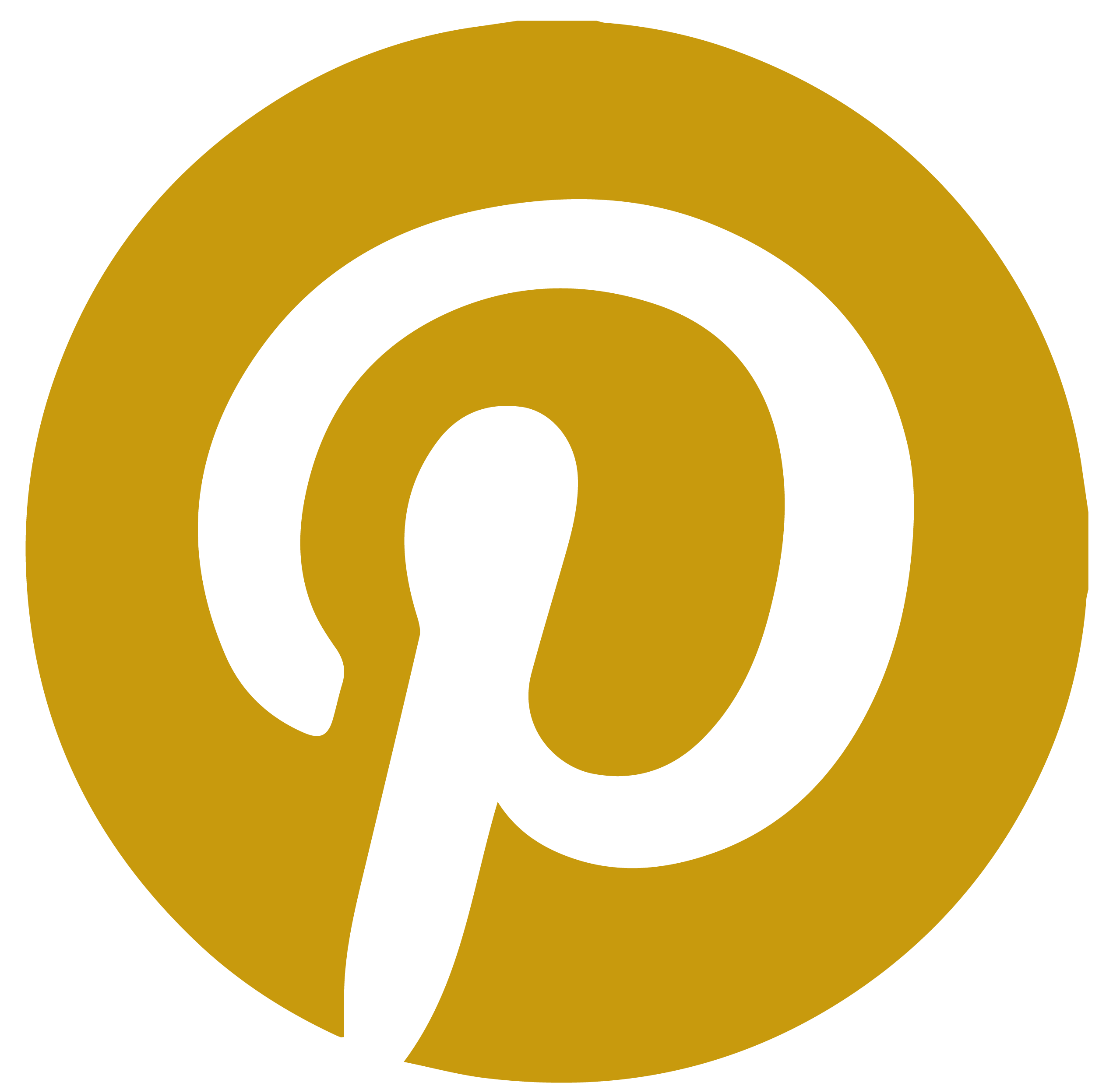 Logo Pinterest les paupiettes