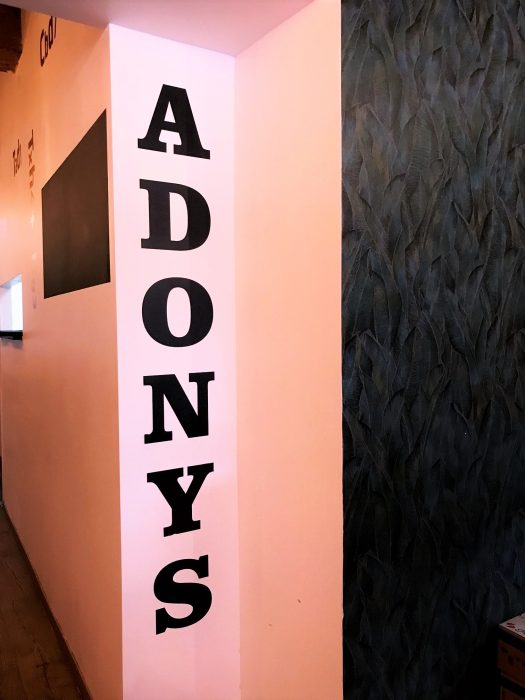 Projet Adonys Lyon, Pauline Rudolf, architecte d'intérieur Lyon France